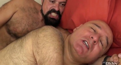 bears