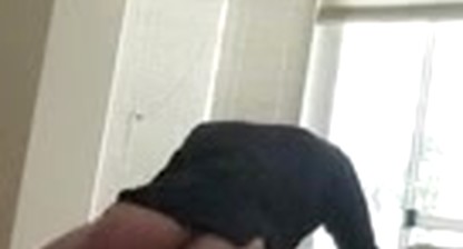 Fucking a twink