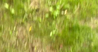 Cheating wife into the woods, he have my load inside him